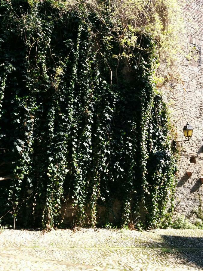 Honey House Parma Apartment Exterior photo